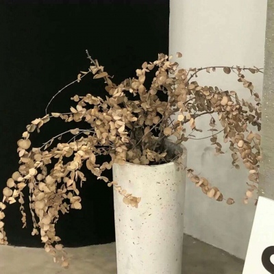 Furry插画素材实用分享兽圈社群